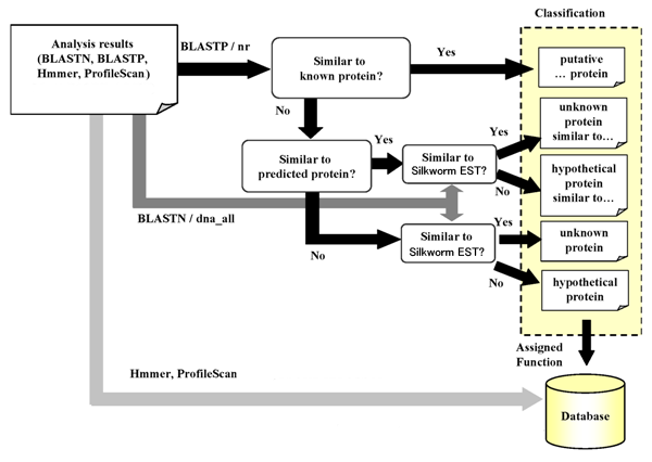 Flowchart to predict the gene function in rice